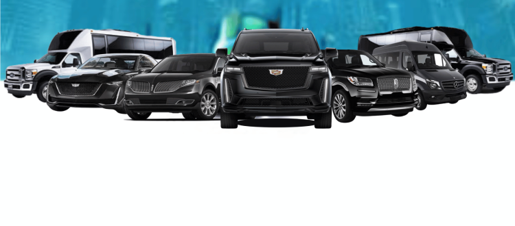 dfw airport limo fleet