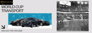 worldcup football transportation by diamond luxe limos in North Texas